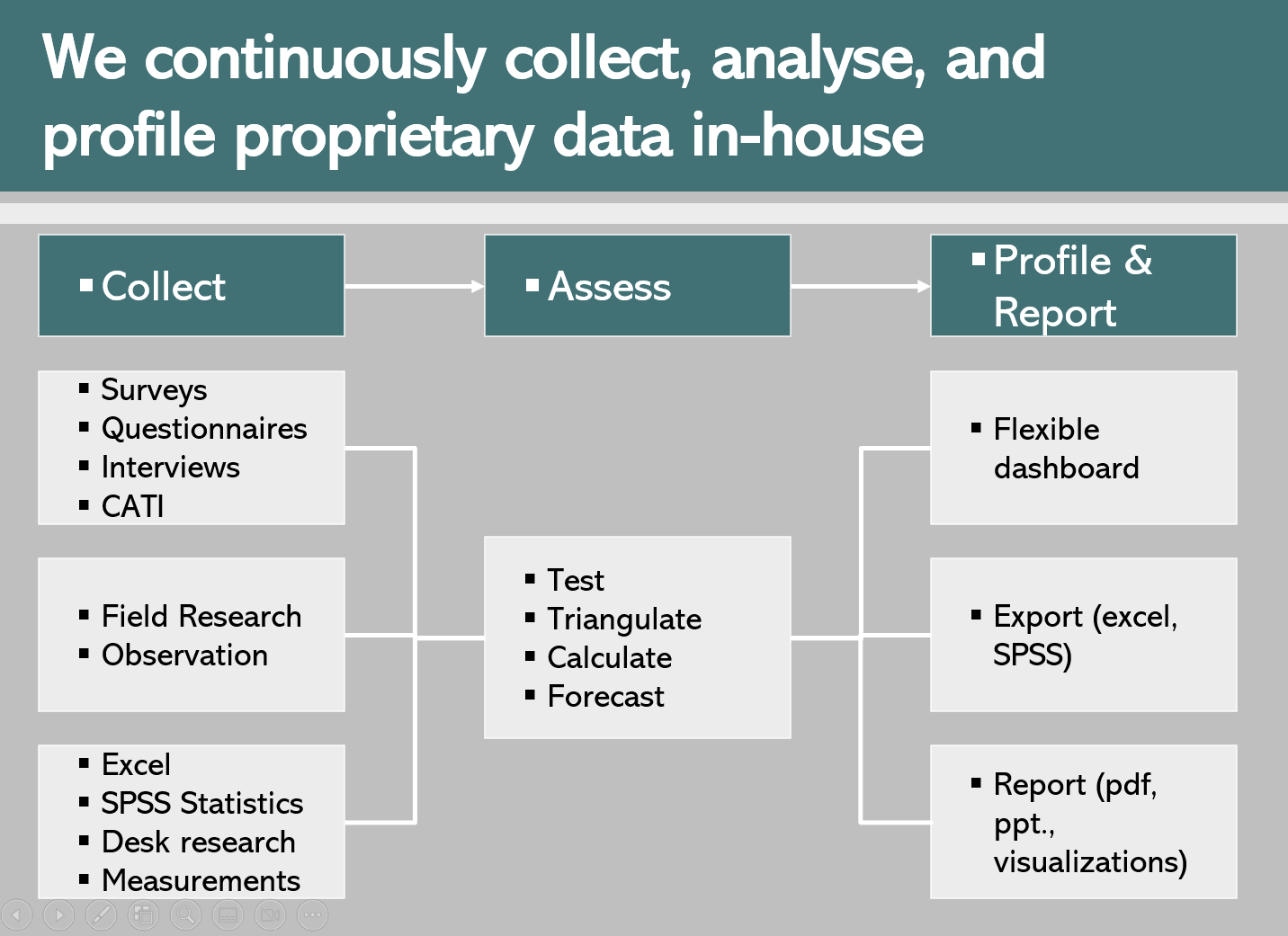 Diagram depicting Loger group Data collection, data assessment, data profiling, data visualization portal capabilities structure